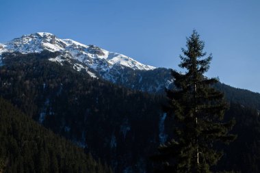 Kış Manzarası Karlı Dağlar Ağaçlar Trabzon Türkiye Karadeniz