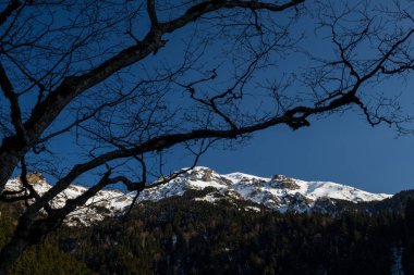 Kış Manzarası Karlı Dağlar Ağaçlar Trabzon Türkiye Karadeniz