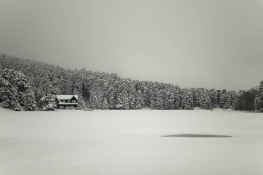 Bolu Golcuk Milli Parkı, karlı kış günü. Türkiye