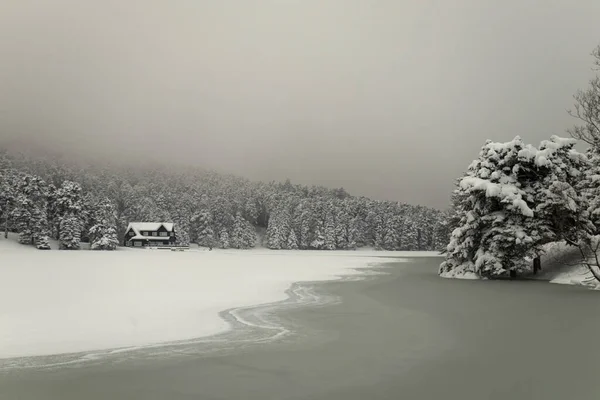 Bolu Golcukin kansallispuisto, luminen talvipäivä. Turkki — kuvapankkivalokuva