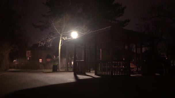 夜は街灯のある公園で、歩いている人はほんの数人です。 — ストック動画