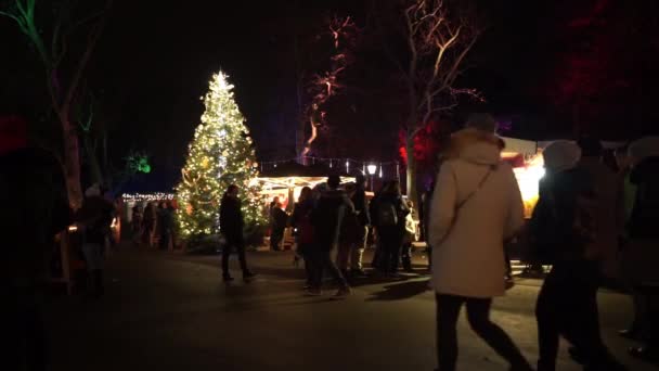 Mercado europeo de Navidad en el parque con gran árbol de Navidad, puestos de comida y gente caminando por — Vídeo de stock