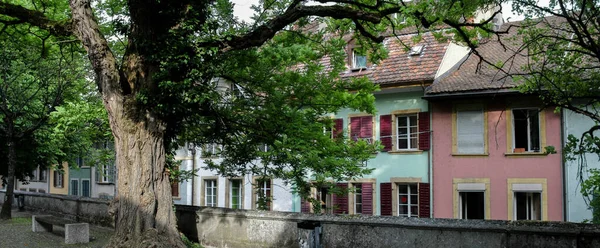 Old City Houses And Tree