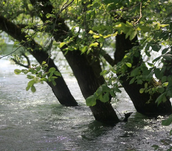 Висока вода — стокове фото