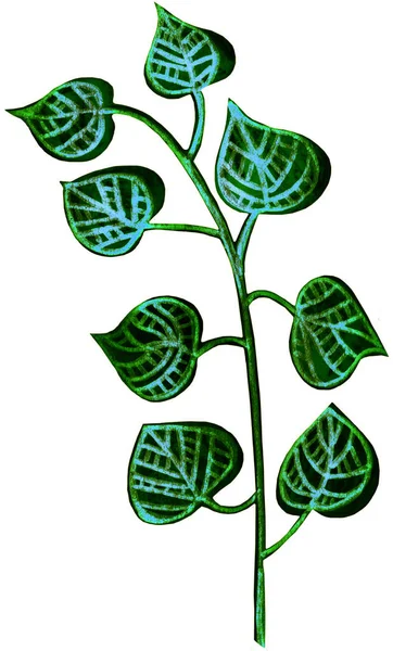 Botanical Picture Branch Green Leaves Shape Heart Hand Drawing Watercolor — Stock Photo, Image