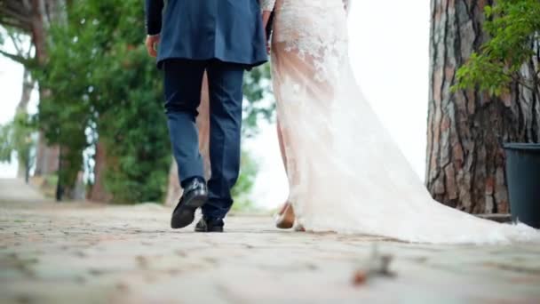 Close-up of amazing lace wedding dress of milk color stretching along the cobblestone in the park. Just married couple walking slowly in the garden after the wedding ceremony. Harmony in family — Stock Video