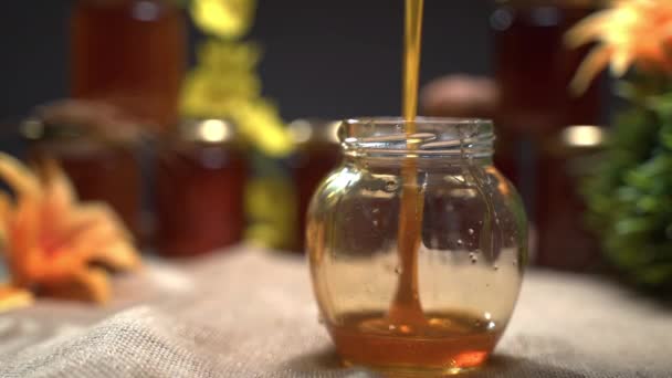 Прозрачное стекло, наполненное чистым натуральным медом, свежим продуктом пчеловодства на рынке. Медовые банки, сладкий цветочный нектар и здоровое питание — стоковое видео