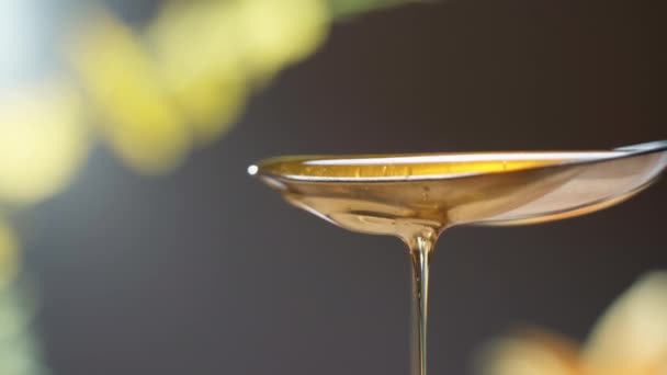 Close-up de mel dourado natural caindo de colher de metal. Néctar de abelha puro cheio de vitaminas, xarope doce para uma nutrição saudável. Dripagem de mel leve — Vídeo de Stock