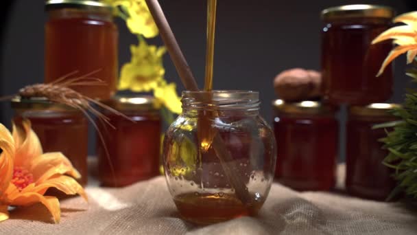 Mel líquido dourado que despeja no vidro transparente com o mergulhador de madeira para dentro no fundo de jarros de mel, pau de trigo e nozes. Produto apícola natural, alimentação saudável e conceito de vitaminas — Vídeo de Stock