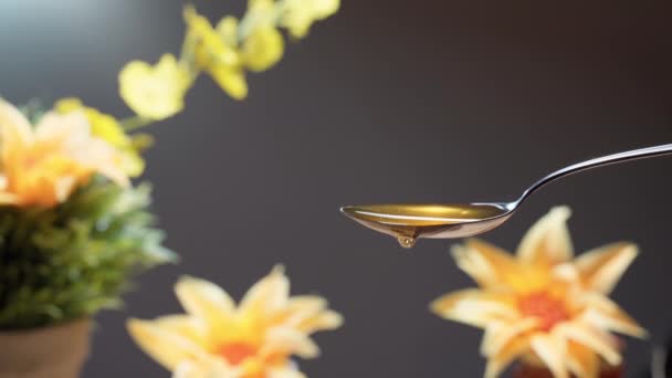 황금빛 꿀을 회색 배경에서 튀기고, 꿀을 흐르게 합니다. 건강 한 영양을 위한 천연물, 인체를 위한 비타민. 황금빛 꿀을 먹는 일 — 비디오