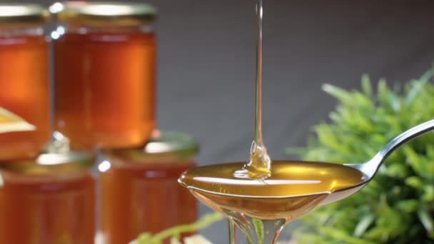 Miel dorada fluyendo sobre la cuchara y cayendo. Frascos de miel sobre fondo gris, néctar de abeja de espesor ligero goteando. Producción natural de ingredientes saludables — Vídeo de stock