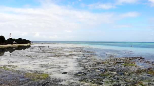 Дивовижний вигляд берегової лінії в Занзібарі, Танзанії. Поверхня води і морська дика природа, люди, що ходять у воді. Прекрасна берегова лінія Індійського океану. — стокове відео