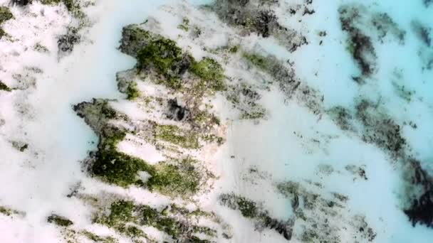 Incredibile vista aerea della secca a Zanzibar, Tanzania. Perfetta combinazione di colori bianco, verde e turchese, sabbia bianca, alghe verdi e acqua cristallina blu. Astrazione e paradiso in indiano — Video Stock