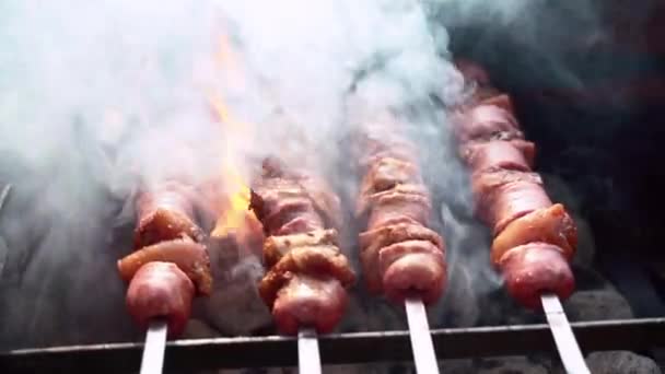 Primer plano de deliciosas salchichas tostadas jugosas en brochetas por encima de las llamas de carbón y humo que viene, trozos de carne marinada con hierbas y especias asando a la parrilla en la parrilla de barbacoa. Cocina de fin de semana para la familia — Vídeos de Stock