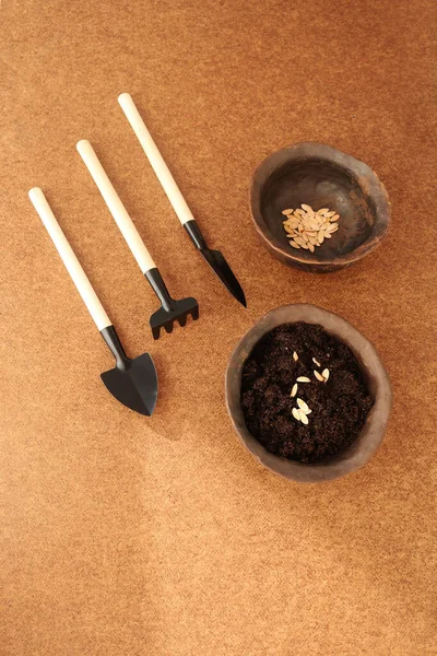 garden tools, seeds and earth in pottery on a brown background, top view, time to sow