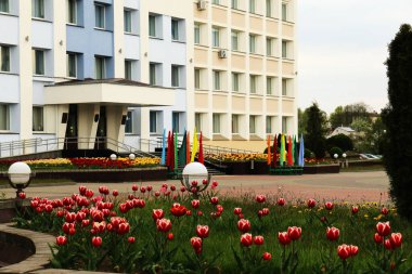 9 Mayıs 2020, Belarus, Smorgon Şehri, Zafer Günü