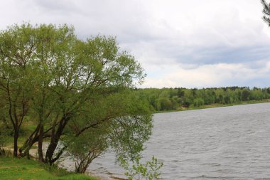 Beloye taş ocağında bahar manzarası, Smorgonsky bölgesi, Belarus Beloye taş ocağında halka manzarası, Smorgonsky bölgesi, Belarus.