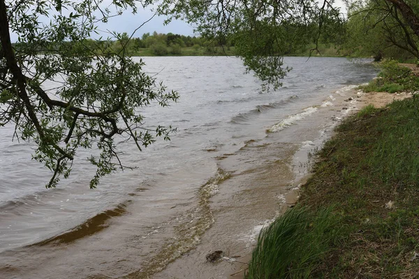 Весняний Пейзаж Каменоломні Белоє Сморгонський Район Білоруський Краєвид Каменоломні Белоє — стокове фото