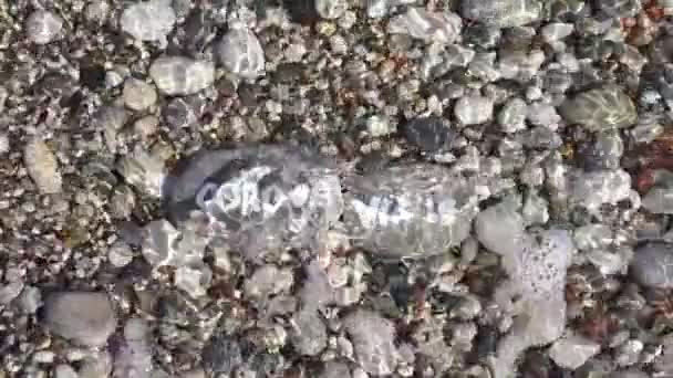 Piedras en la playa con agua y la inscripción coronavirus — Vídeo de stock