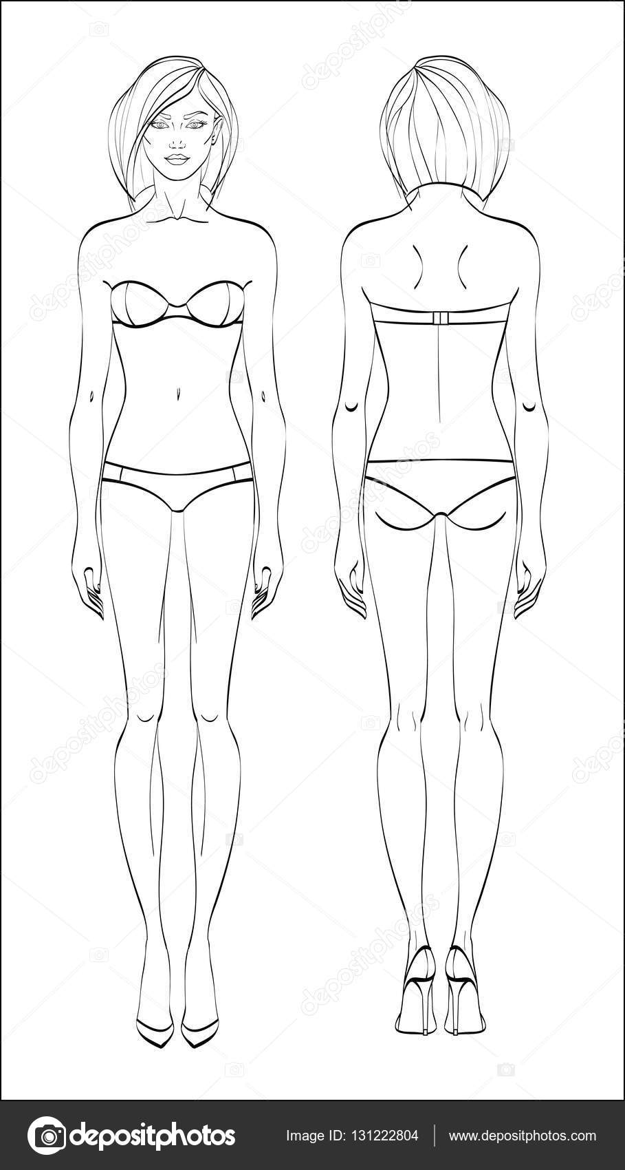 女性図 前面し 背面します ベクトル 直線的なスタイルの人体 — ストック
