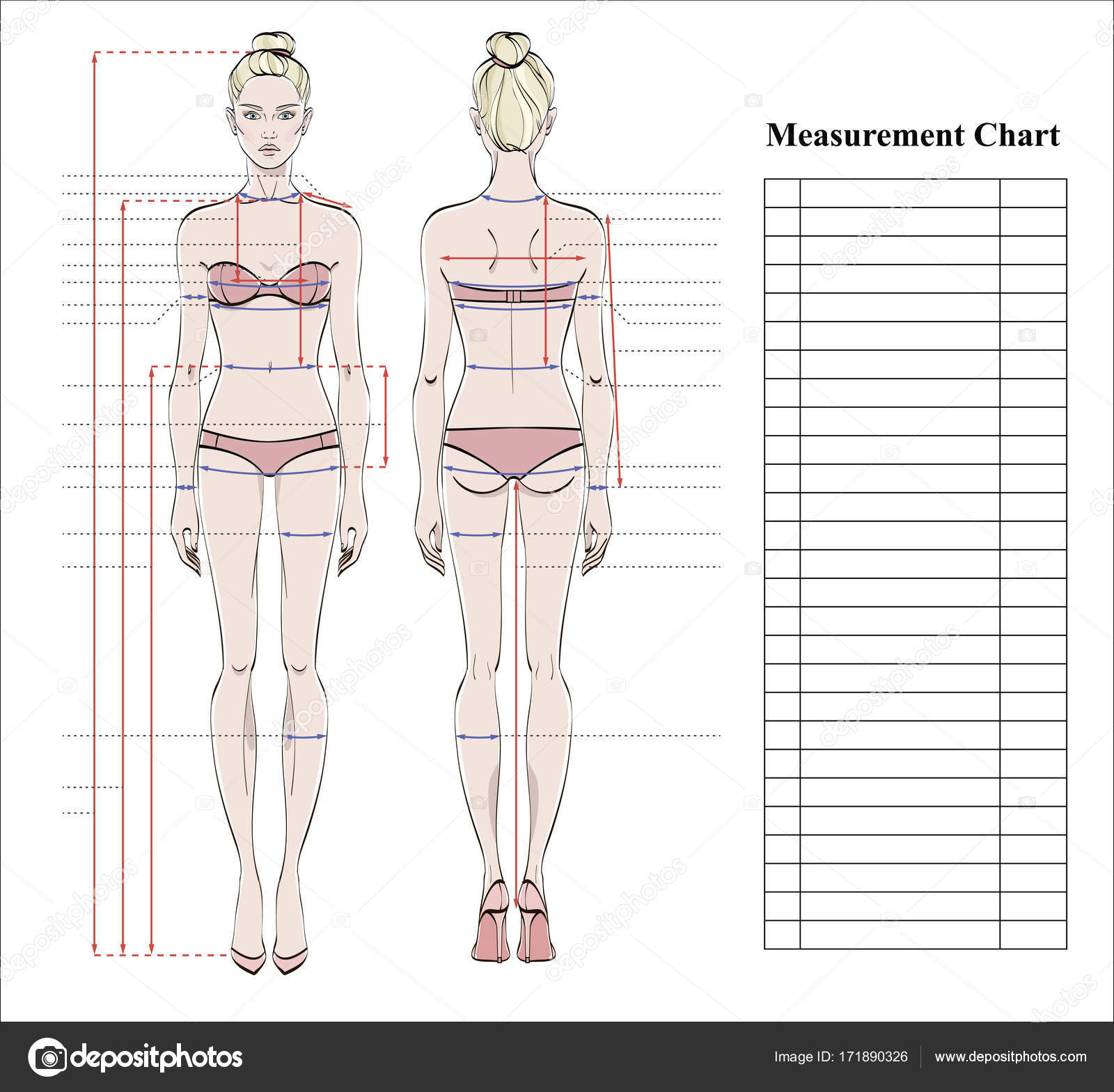 Woman Body Measurement Chart Scheme Measurement Human Body Sewing Clothes  Stock Vector by ©Alushka 171890326