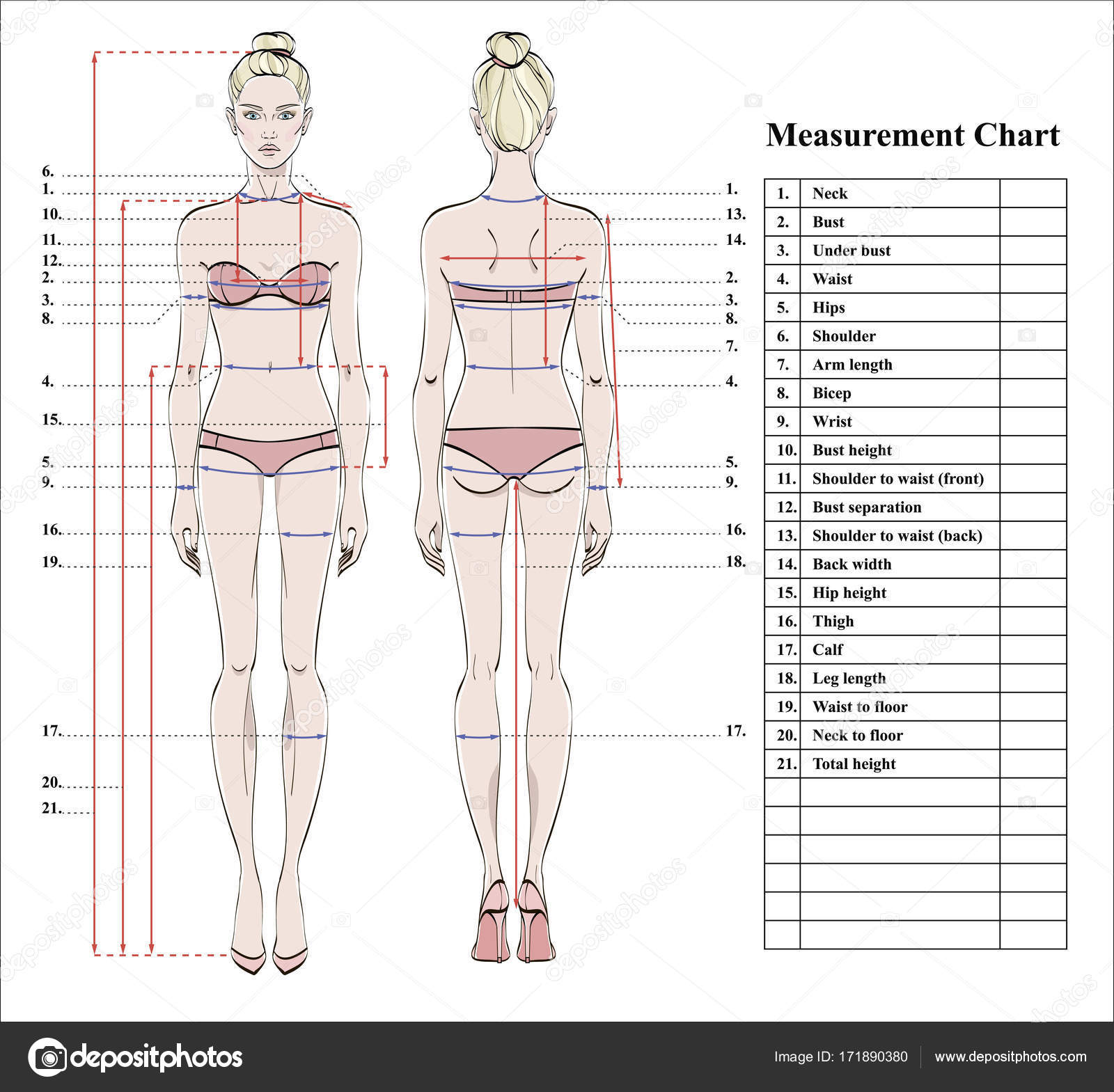 Woman Body Measurement Chart Scheme Measurement Human