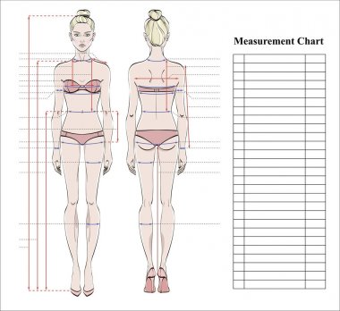 Kadın beden ölçüm grafik. Ölçüm insan vücudu için dikiş elbise şeması. Şekil: ön ve arka sayısı. İç çamaşırı modeli. Diyet, fitness için şablon. Vektör.