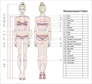 Kadın beden ölçüm grafik. Ölçüm insan vücudu için dikiş elbise şeması. Şekil: ön ve arka sayısı. İç çamaşırı modeli. Diyet, fitness için şablon. Vektör.