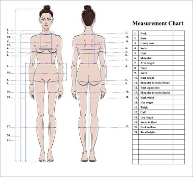 Kadın beden ölçüm grafik. Ölçüm insan vücudu için dikiş elbise şeması. Şekil: ön ve arka sayısı. Diyet, fitness için şablon. Vektör.