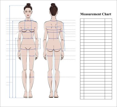 Kadın beden ölçüm grafik. Ölçüm insan vücudu için dikiş elbise şeması. Şekil: ön ve arka sayısı. Diyet, fitness için şablon. Vektör.