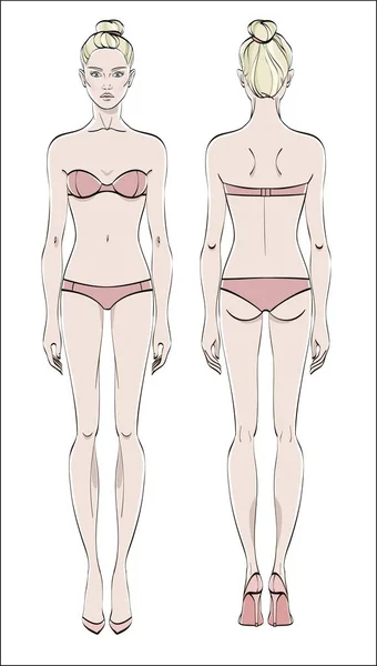 Şekil: önde ve arkada. Renk vektör. İnsan vücudu lineer tarzda.