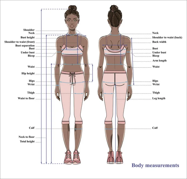 Gráfico Medição Corpo Mulher Esquema Medição Corpo Humano Para Costura —  Vetores de Stock