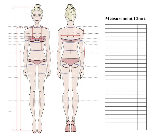 Gráfico Medición Corporal Mujer Esquema Para Medir Cuerpo Humano Para — Vector de stock