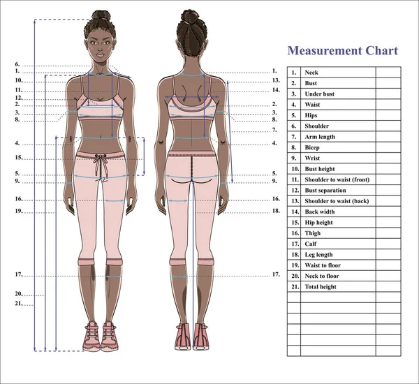 Kadın beden ölçüm grafik. Ölçüm insan vücudu için dikiş elbise şeması. Şekil: ön ve arka sayısı. İç çamaşırı modeli. Diyet, fitness için şablon. Vektör.