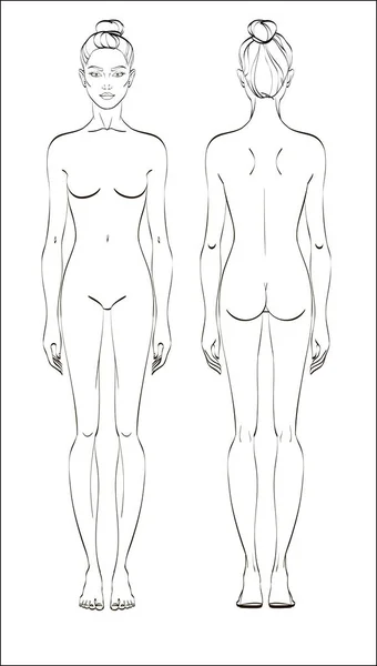 Vrouwelijke figuur: voorzijde en achterzijde. Vector. Menselijk lichaam in lineaire stijl. — Stockvector