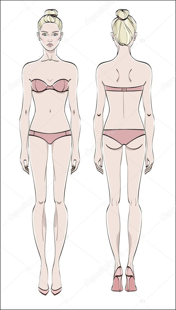 Female figure: front and back. Color vector. Human body in linear style.