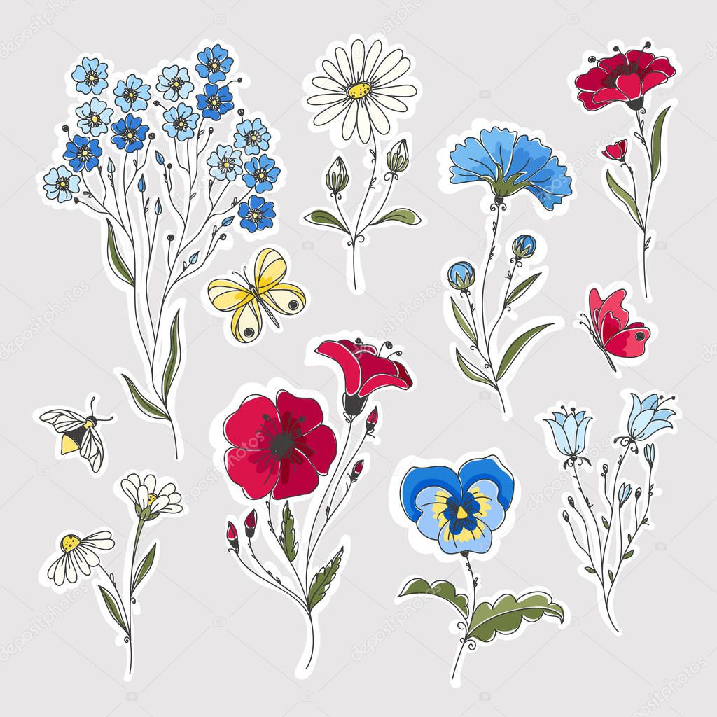 Wild flowers vector drawing set. Isolated flowers, leaves and insects. 