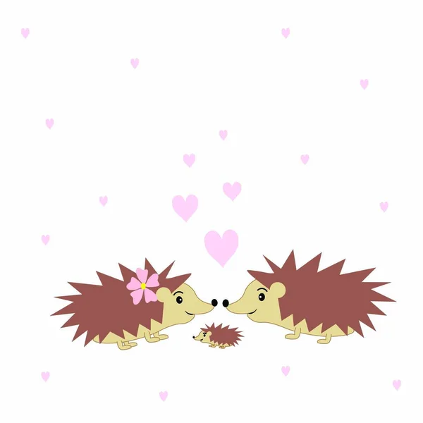 cute hedgehog illustration  nursery decor