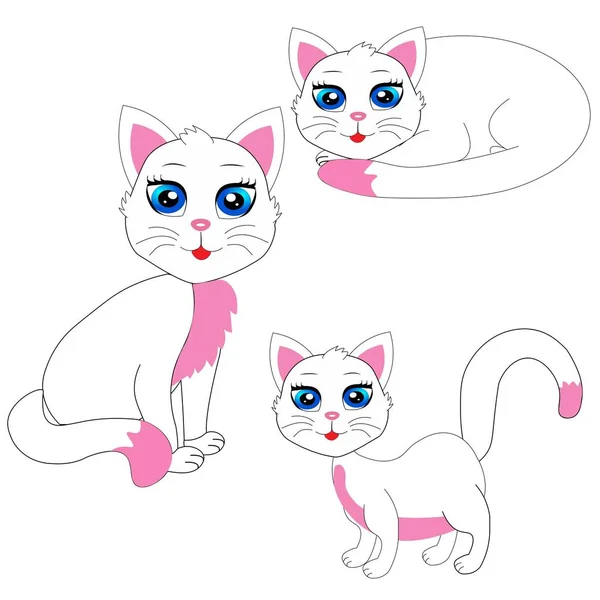 可爱的猫图画海报幼儿园装饰 — 图库照片