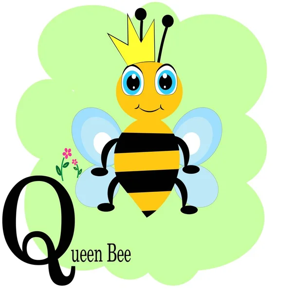 Q dla królowej pszczoły abc plakat alfabetu zwierząt — Wektor stockowy