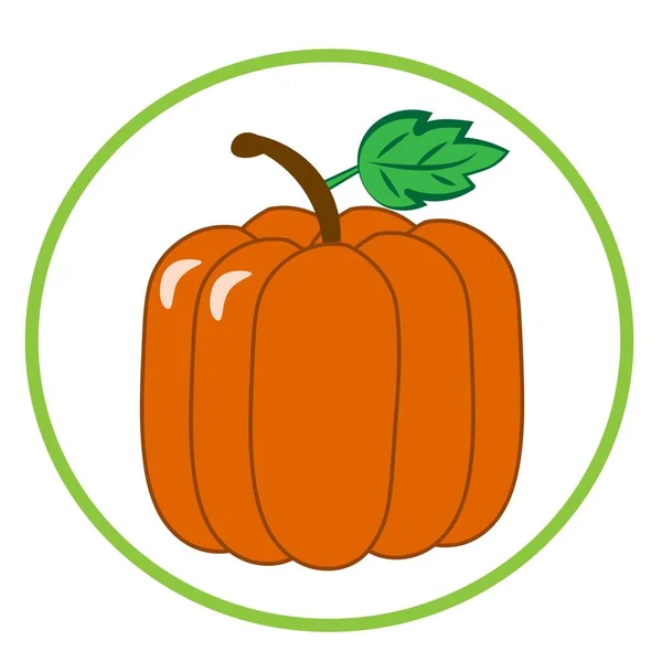 Pumpkin Illustration Natural Vegan Vegetable — Stock Photo, Image