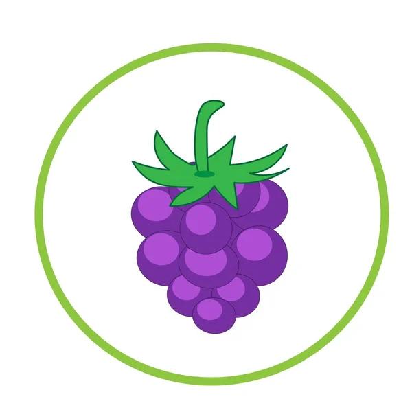 Healthy Blackberry Cartoon Illustration Organic Natural Fruit — Stock Photo, Image