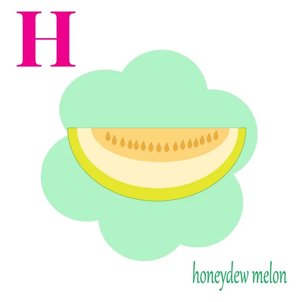 H is for honeydew melon illustration alphabet — Stock Vector