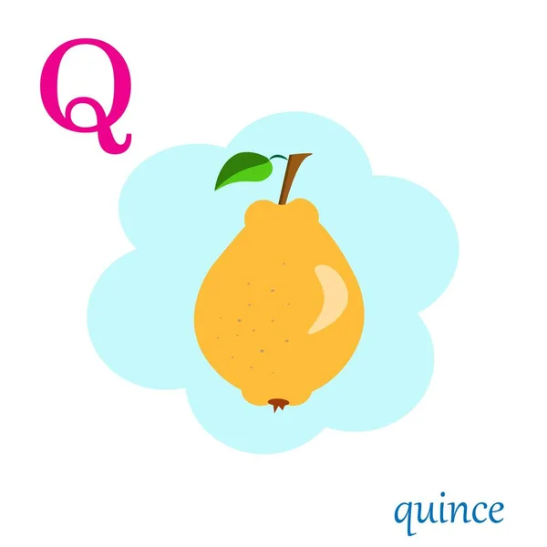 Q é para o alfabeto da ilustração do marmelo — Vetor de Stock