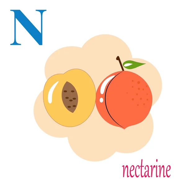 N is for nectarine illustration alphabet — Stock Vector