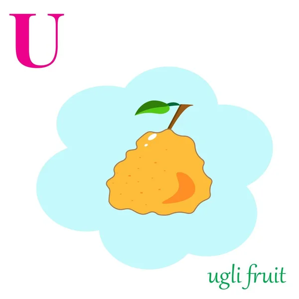 U is for ugli fruit illustration alphabet — Stock Vector