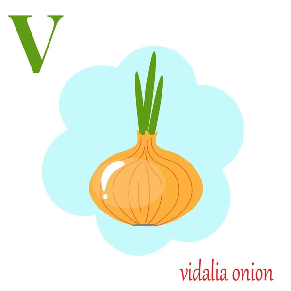 V is for vidalia onion illustration alphabet — Stock Vector