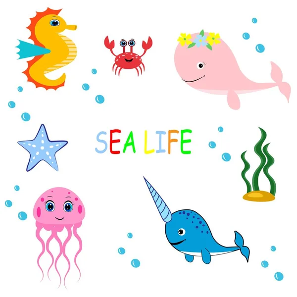 Roztomilá Barevná Mořská Zvířata Mořský Život Divoká Zvěř Chobotnice Velryba — Stock fotografie