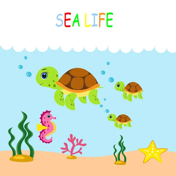 cute sea animals set.cartoon  illustration. Marine life.