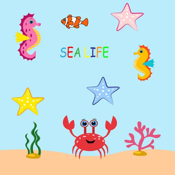 Cute Sea Animals Set Cartoon Illustration Marine Life — Stock Photo, Image